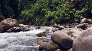 Rio Encantado - Explorando a Beleza Natural da Indonésia!