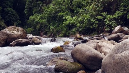 Rio Encantado - Explorando a Beleza Natural da Indonésia!