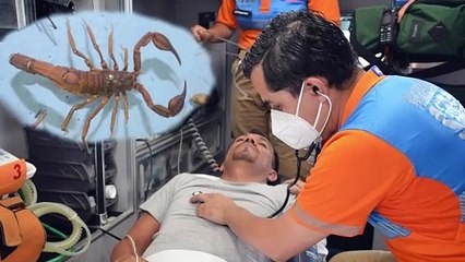 ¿Cómo prevenir picaduras de alacrán?