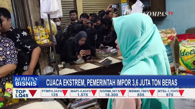 Pemerintah Impor 3,6 Juta Ton Beras, Sektor Pertanian Tanaman Pangan Turun 24,75 Persen