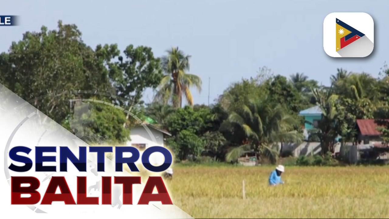 DOST, patuloy ang pagtulong sa sektor ng agrikultura sa gitna ng epekto ng #ElNiñoPH