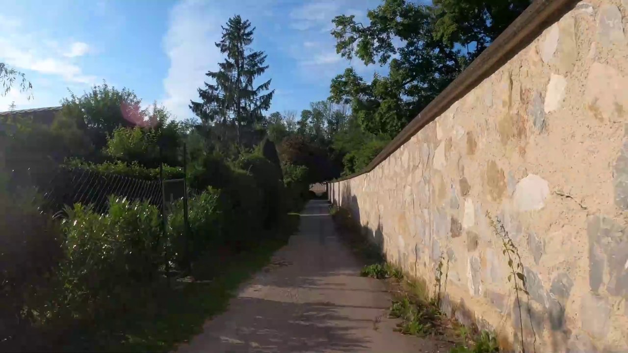 Promenadeweg: MTB Lainzer Tiergarten-Strecke (5)