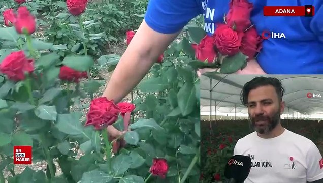 Adana'da Anneler Günü öncesi gül fiyatları dibi gördü: Tanesi 3 lira