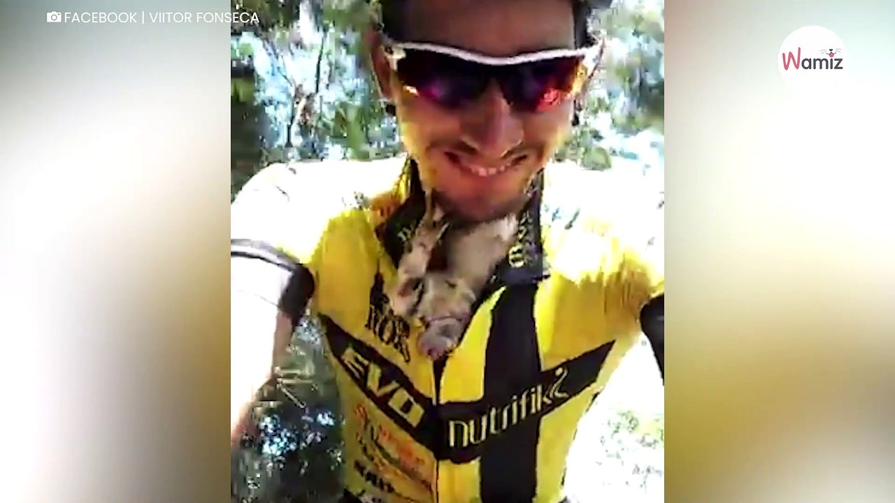 Dieses Kätzchen küsst dauernd den Radfahrer, der es gerettet hat (Video)
