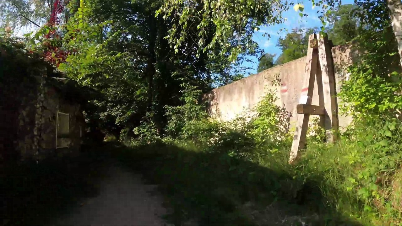 Zum St. Veiter Tor: MTB Lainzer Tiergarten-Strecke (4)