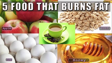 वसा को जलाने वाले 5 भोजन | 5 FOODS THAT BURNS YOUR FAT BY SATVINDER KAUR