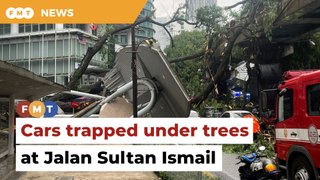 Cars trapped as tree falls at Jalan Sultan Ismail