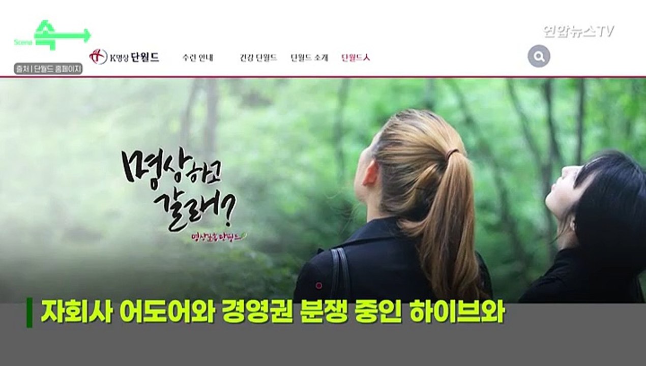 [씬속뉴스] 하이브-어도어 분쟁 속 뜬금없이 '단월드 챌린지'…"자제 강력 요청"