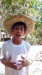 magpalipad ng saranggola sa 1st LOBO Kite Fest 