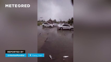Unexpected Fish Rain in Yasuj, Iran 🌧️