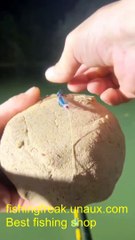 Fish Tales: Short, Sweet, and Totally Viral! (fishing shorts)
