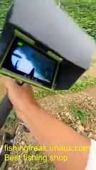 Fish Tales: Short, Sweet, and Totally Viral! (fishing shorts)