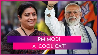 Smriti Irani Calls PM Narendra Modi 'Cool Cat' Over His Reaction To Viral Animated Dancing Video