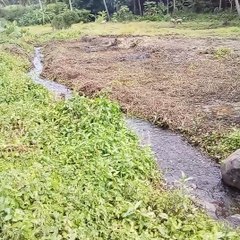 As long as the water flows