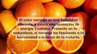 Color naranja: qué simboliza y cómo te influye