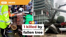 1 killed in fallen tree incident in downtown KL