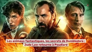 Les animaux fantastiques  les secrets de Dumbledore  : Jude Law retourne à  Poudlard