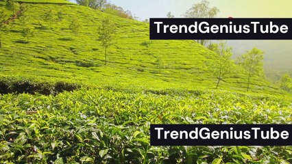 The Real India Discover the Incredible Diversity and Beauty #IndiaTravel #CulturalDiversity #India