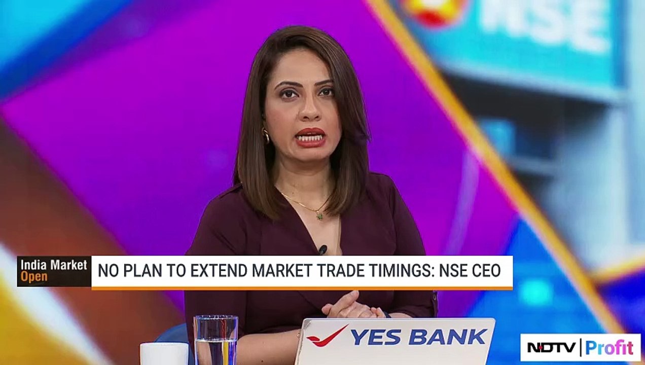 Motor Destock To Impact CG Power's Margins In FY25? | NDTV Profit