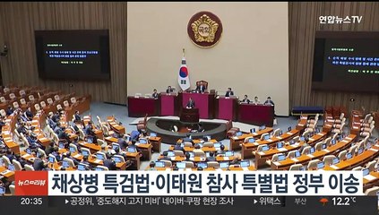 채상병 특검법·이태원 참사 특별법 정부 이송