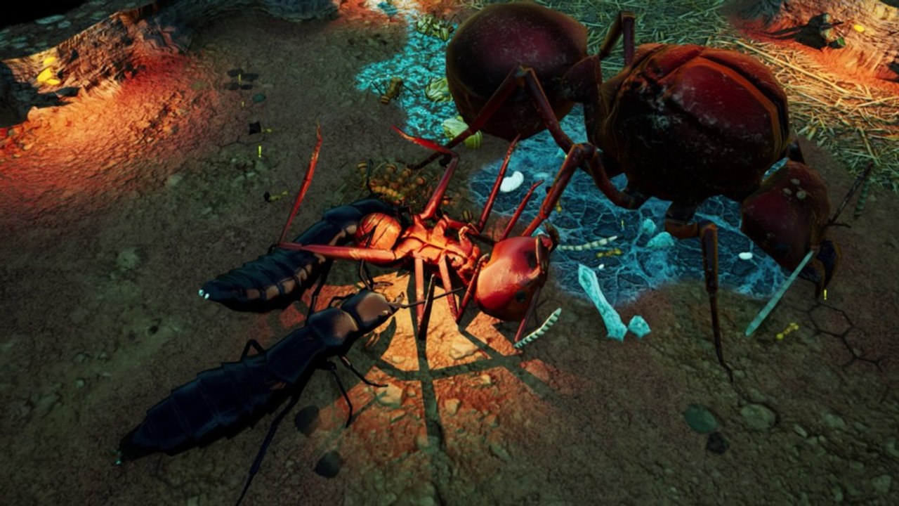 Empires of the Undergrowth - Das krabbelige Strategiespiel für Insektenfans hat ein Releasedatum