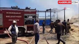 Yangına erken müdahale edildi, çiftçinin emeği kül olmaktan kurtarıldı