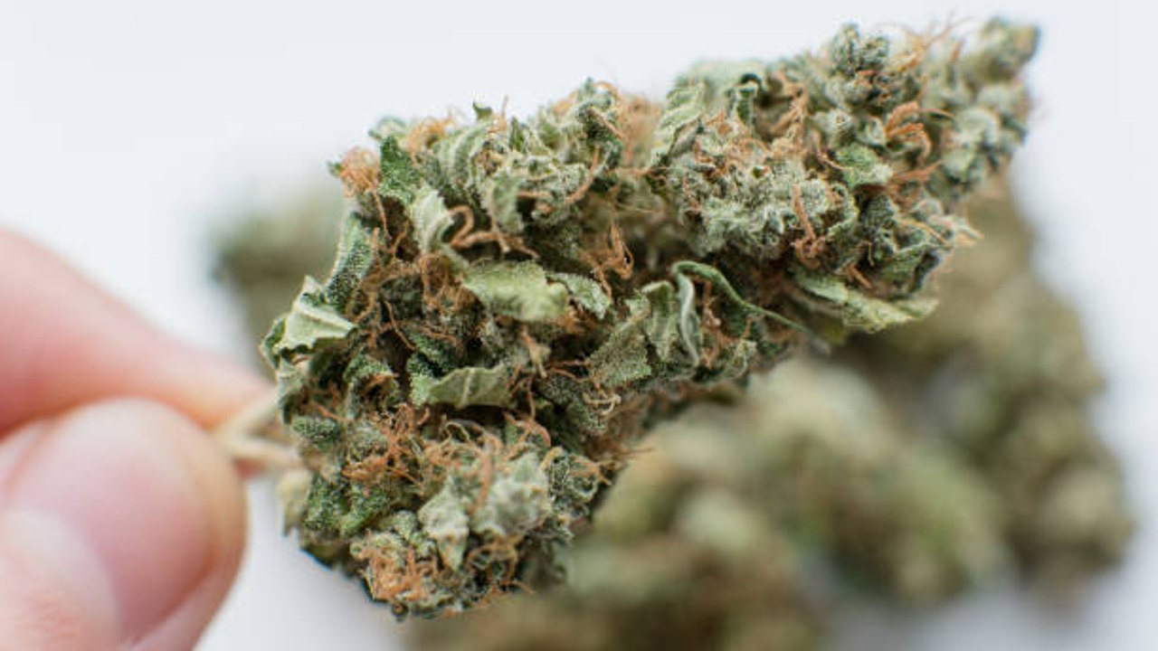 El Cannabis: Desmontando Mitos Y Estereotipos