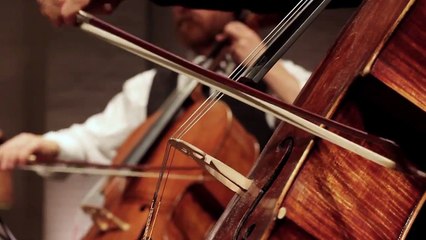 1833. El nacimiento de Brahms