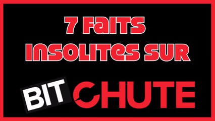 7 faits insolites sur Bitchute