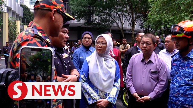 KL tree mishap: DBKL instructed to set up new guidelines to manage ageing trees