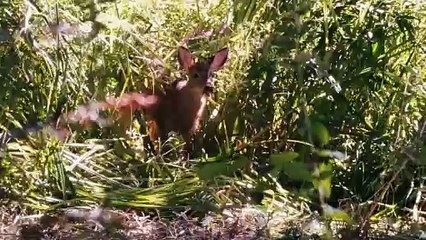 On arrête quand ? Bande-annonce (EN)