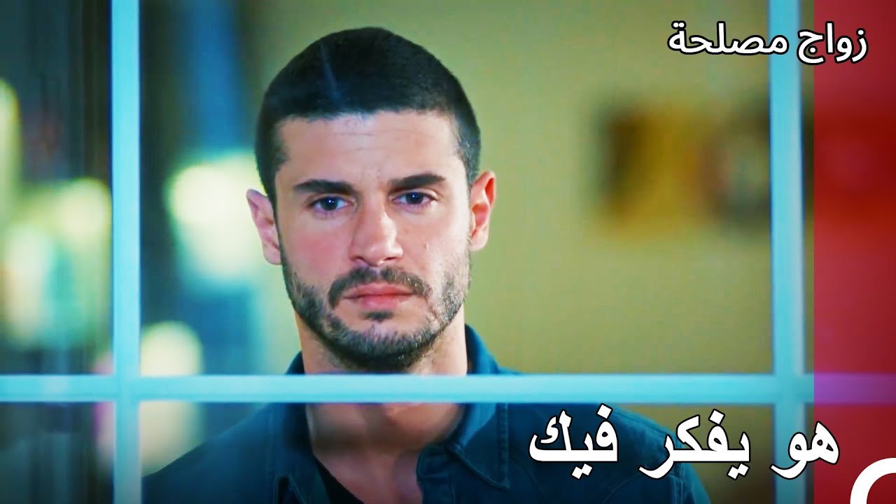 أنتم وقعتم في الحب يا شباب - زواج مصلحة الجزء 83