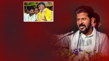 Chandrababu పై Revanth Reddy సంచలన వ్యాఖ్యలు.. గురు శిష్యులు ఎవరు లేరు అంటూ...| Oneindia Telugu