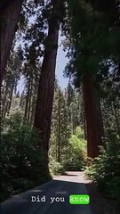 Essential Home Insurance Protecting Your Haven from the Unexpected