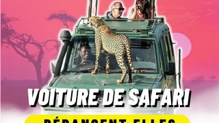 Voiture Safari