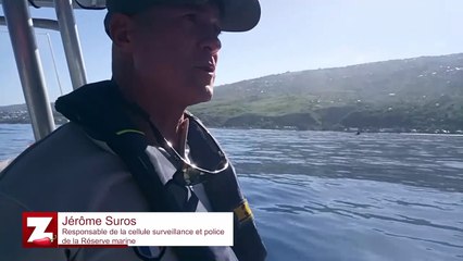 La Réserve marine organise une opération "coup de frein" en mer