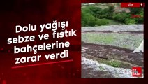 Siirt'te dolu yağışı sebze ve fıstık bahçelerine zarar verdi