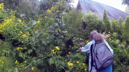 Jardin d’art et d’essais