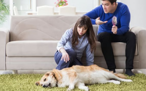 « Je ne sais pas si je dois le croire » : une femme refuse d'abandonner son chien pour son copain allergique