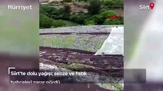 Siirt'te dolu yağışı! Sebze ve fıstık bahçeleri zarar gördü