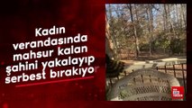 Kadın verandasında mahsur kalan şahini yakalayıp serbest bırakıyor