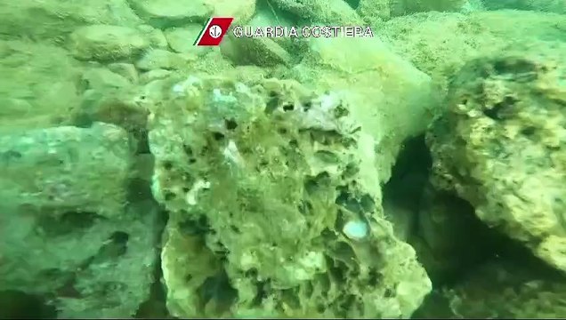 Datteri di mare sequestrati, la guardia costiera spezzina denuncia otto persone