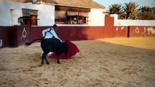 manzanares palmosilla