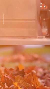 Abonne-toi pour suivre d’autres solutions positives ! @theimpactstory Source : Releaf paper bags #sac #plastique #feuillesmortes #feuillesdautomne #arbres #innovation #ecologie #environnement