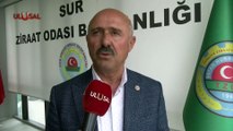 Hasat başlıyor: Çiftçi buğday fiyatının açıklanmasını istiyor