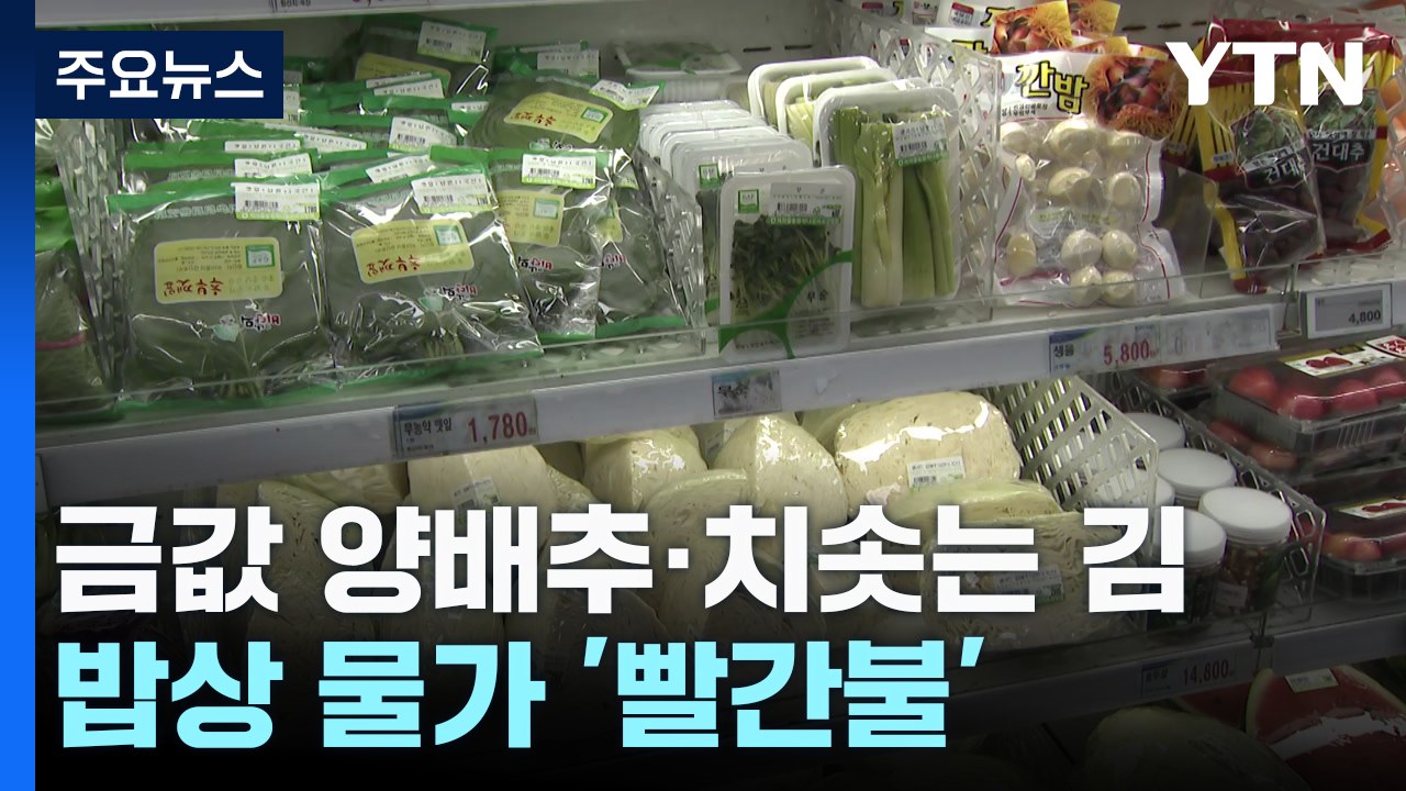 '금값' 양배추·치솟는 김...빨간불 켜진 밥상 물가 / YTN