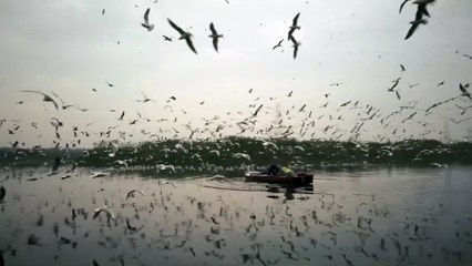 test-possible-statuses