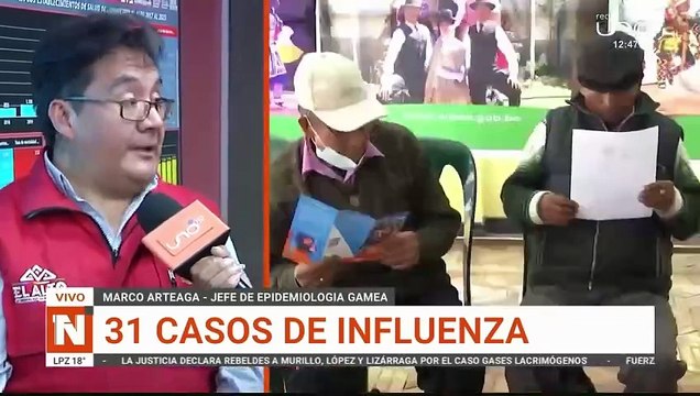 casos de influenza y neumonia