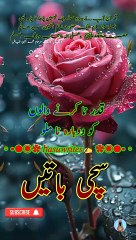 Entertainment, Nice words