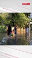 Devastación en Brasil por inundaciones causadas por las fuertes lluvias